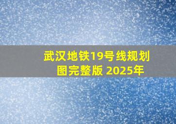 武汉地铁19号线规划图完整版 2025年